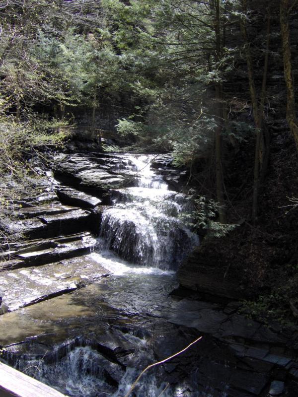 Dry Creek Falls